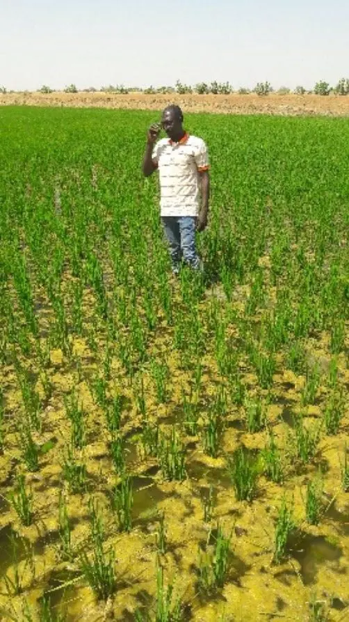 Monitoraggio agricolo basato su GIS e Remote sensing, studio di fattibilità 11 monitoraggio agricolo basato su gis e remote sensing studio di fattibilita 4 min gisAction Technology for Sustainable Development