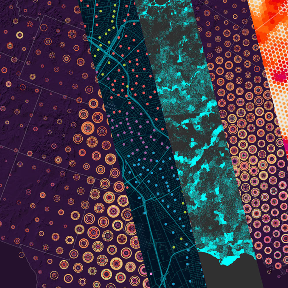 Consultancy e Custom Solutions gisAction Technology for Sustainable Development