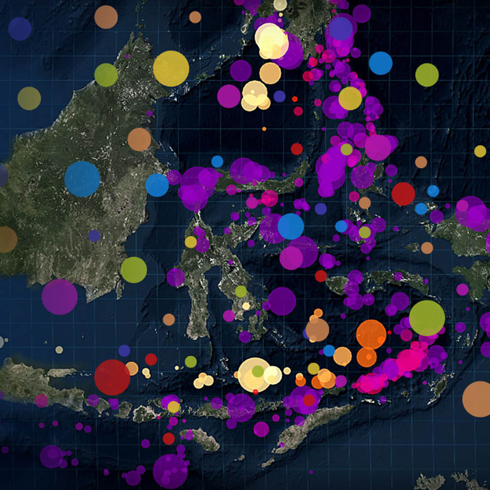 Dissemination gisAction Technology for Sustainable Development