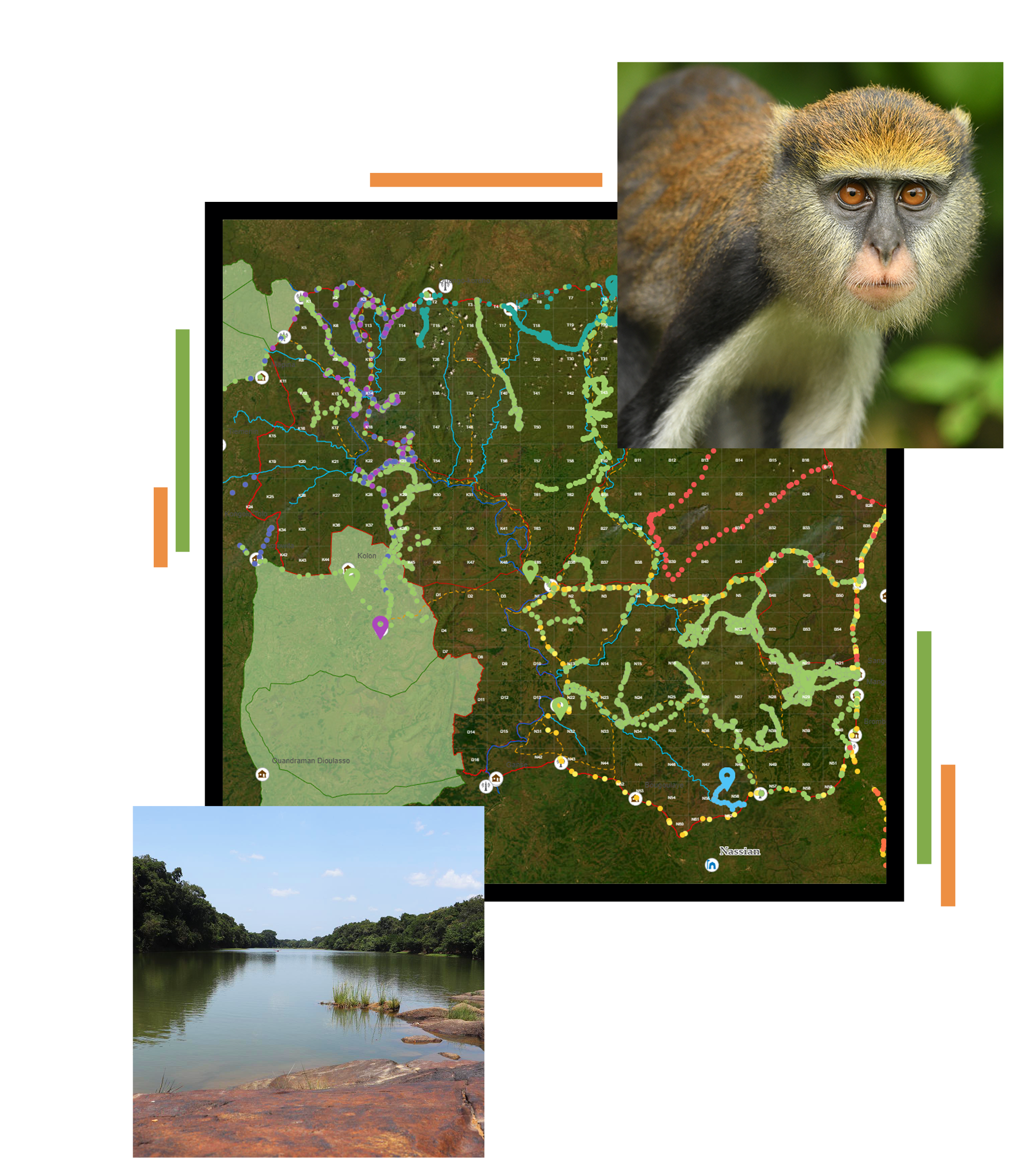 MIS Conservation gisAction Technology for Sustainable Development gisAction