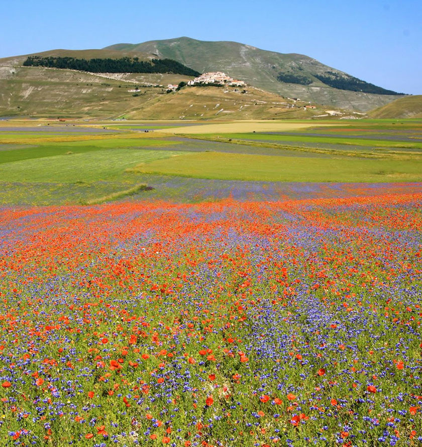 perle umbria gisAction Technology for Sustainable Development