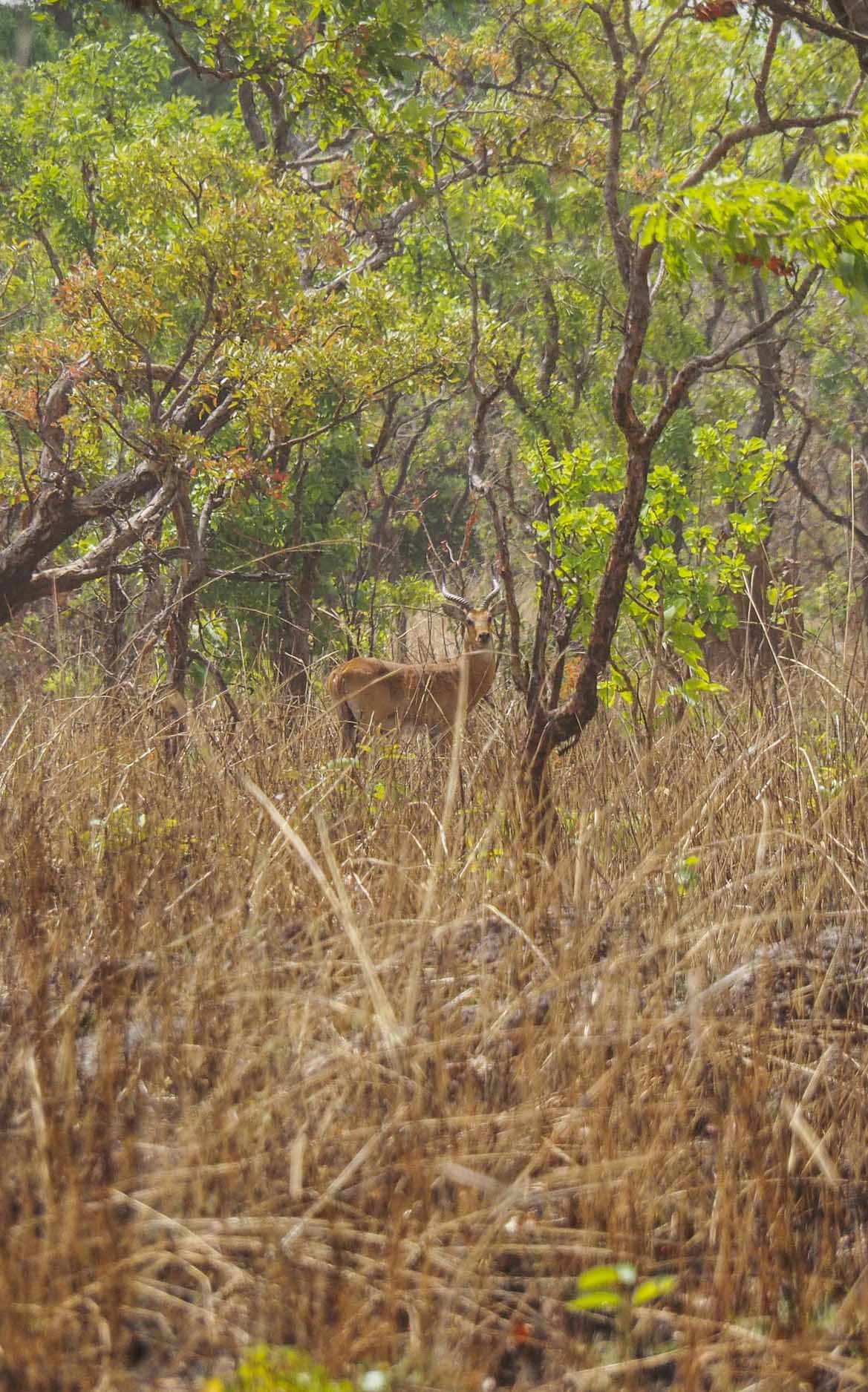 P2130119 P2130119 gisAction Technology for Sustainable Development wisepark